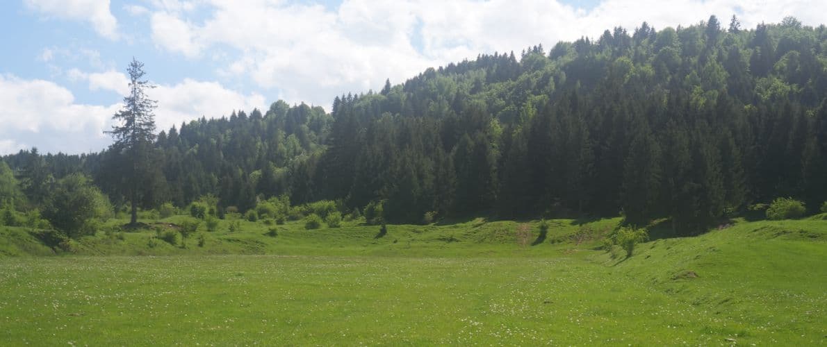 Galionul Orășenesc Comănești - pe platou