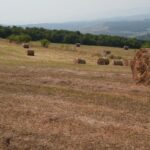 Turn Dom Alb - lucrari agricole pe platou